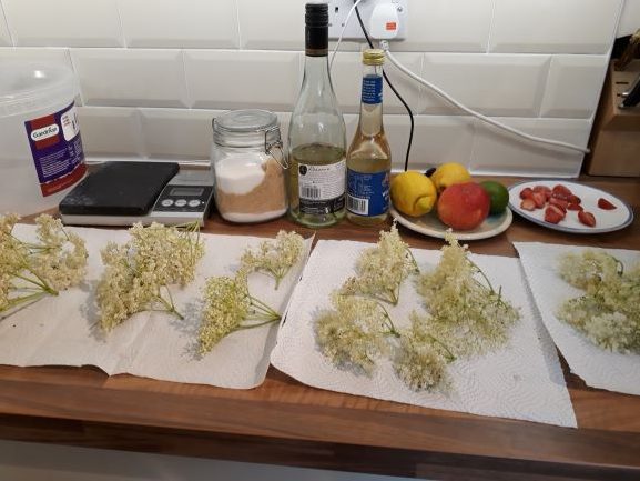 Elderflower Champagne - Year 2