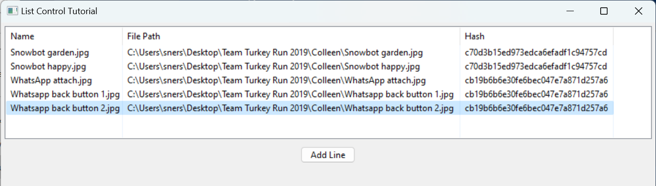 A window showing a table of data, Name in column 1, File Path in column 2, Hash in column 3.